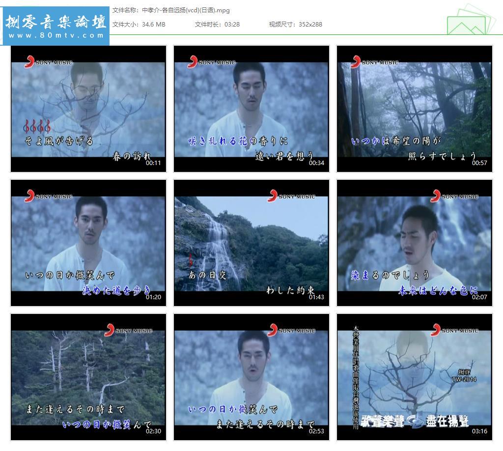 中孝介-各自远扬{vcd}(日语).jpg
