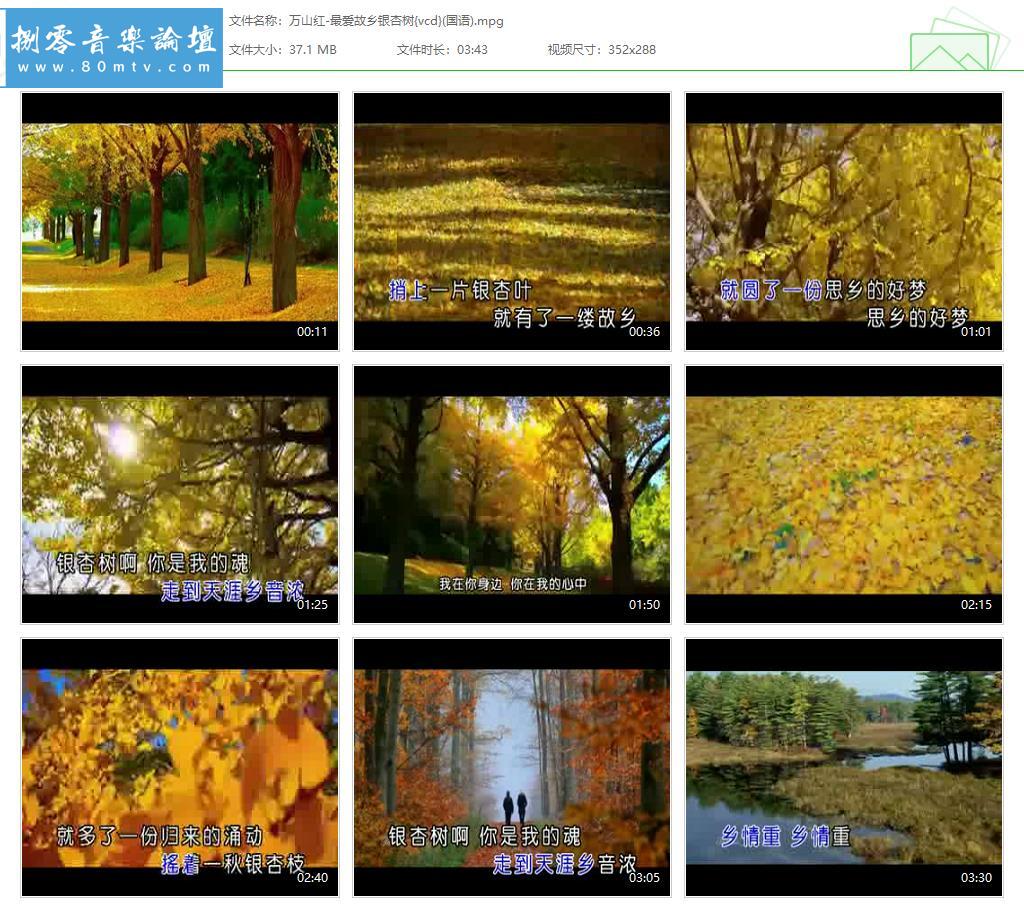 万山红-最爱故乡银杏树{vcd}(国语).jpg
