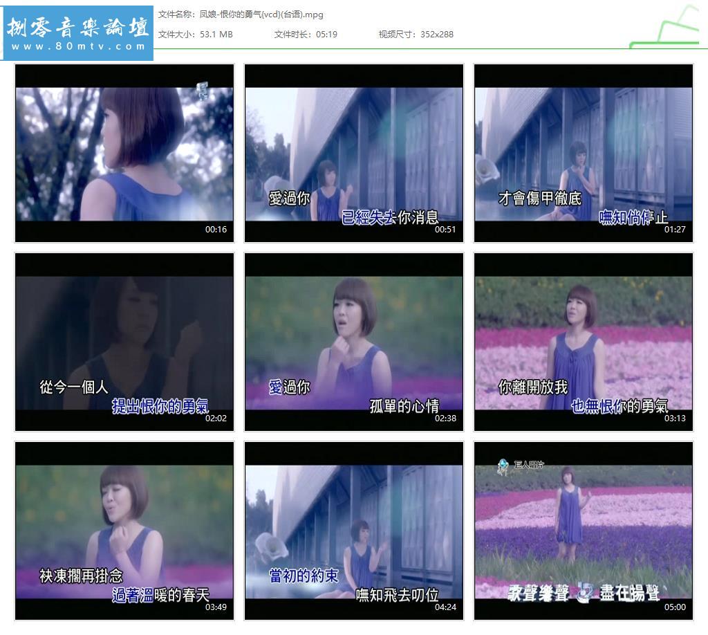 凤娘-恨你的勇气{vcd}(台语).jpg