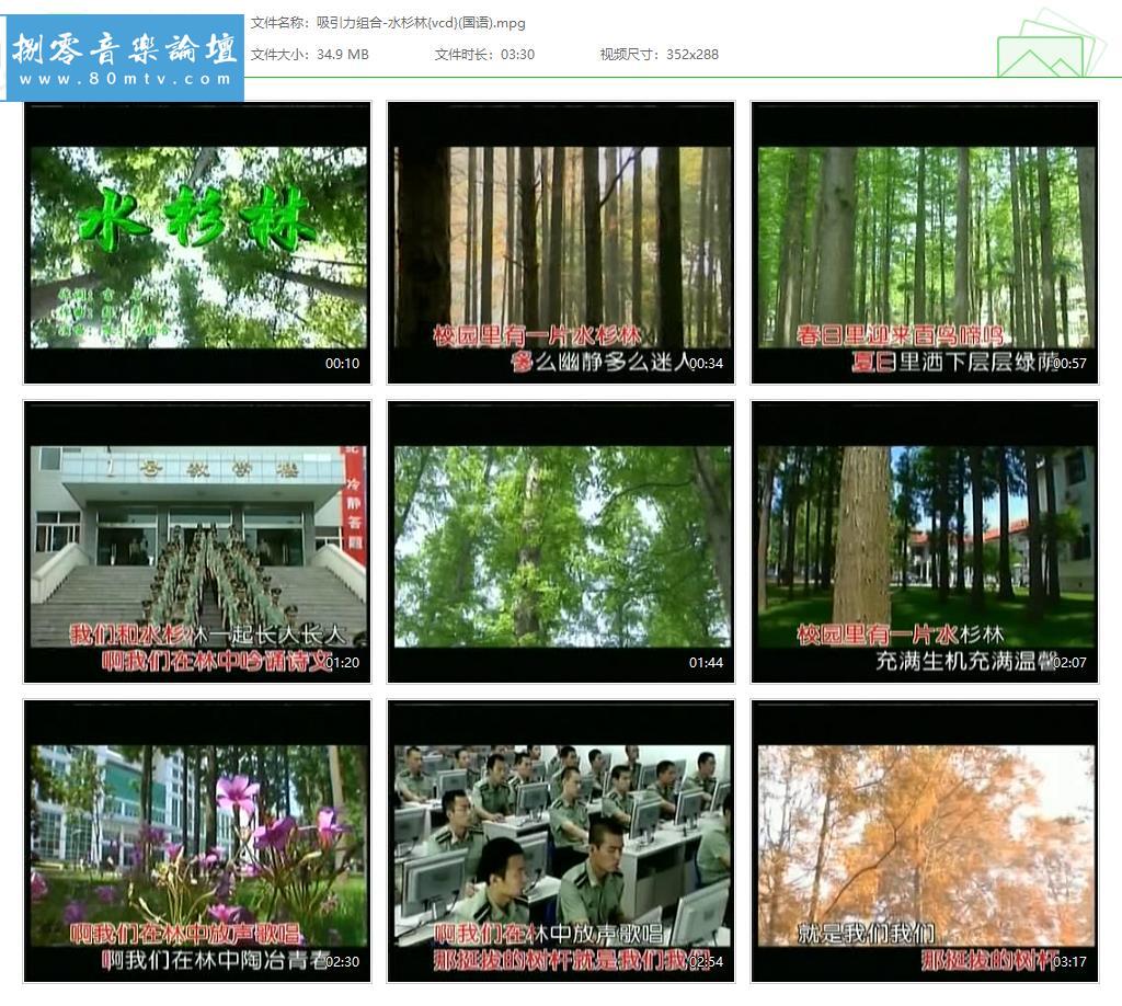 吸引力组合-水杉林{vcd}(国语).jpg