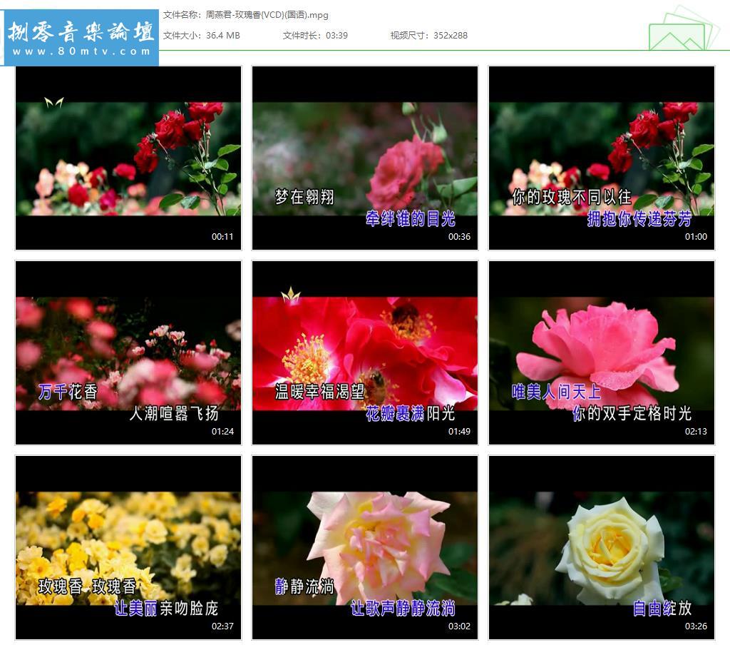 周燕君-玫瑰香{VCD}(国语).jpg