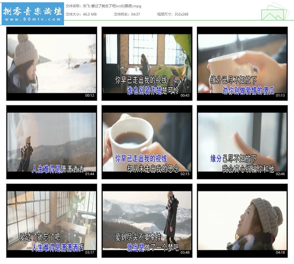 宋飞-爱过了就忘了吧{vcd}(国语).jpg