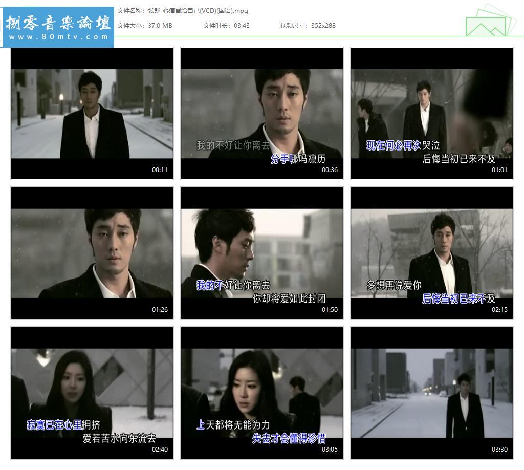 张郎-心痛留给自己{VCD}(国语).jpg