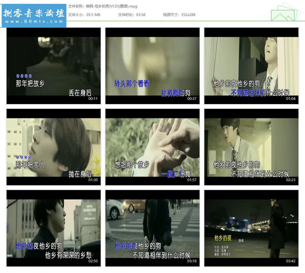 晓枫-他乡的夜{VCD}(国语).jpg