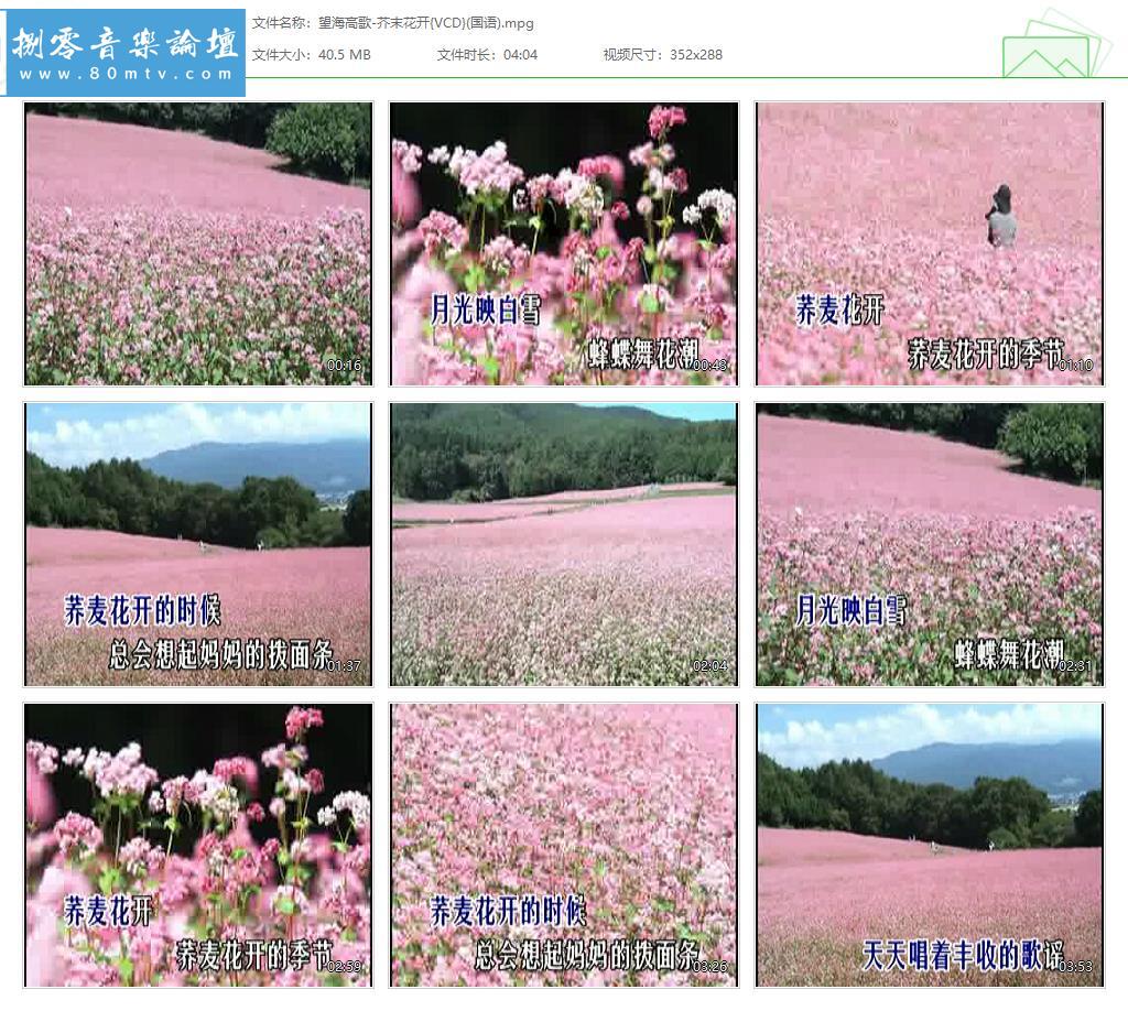 望海高歌-芥末花开{VCD}(国语).jpg