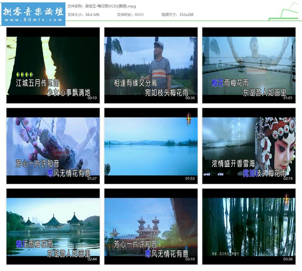 梁佳玉-梅花雨{VCD}(国语).jpg