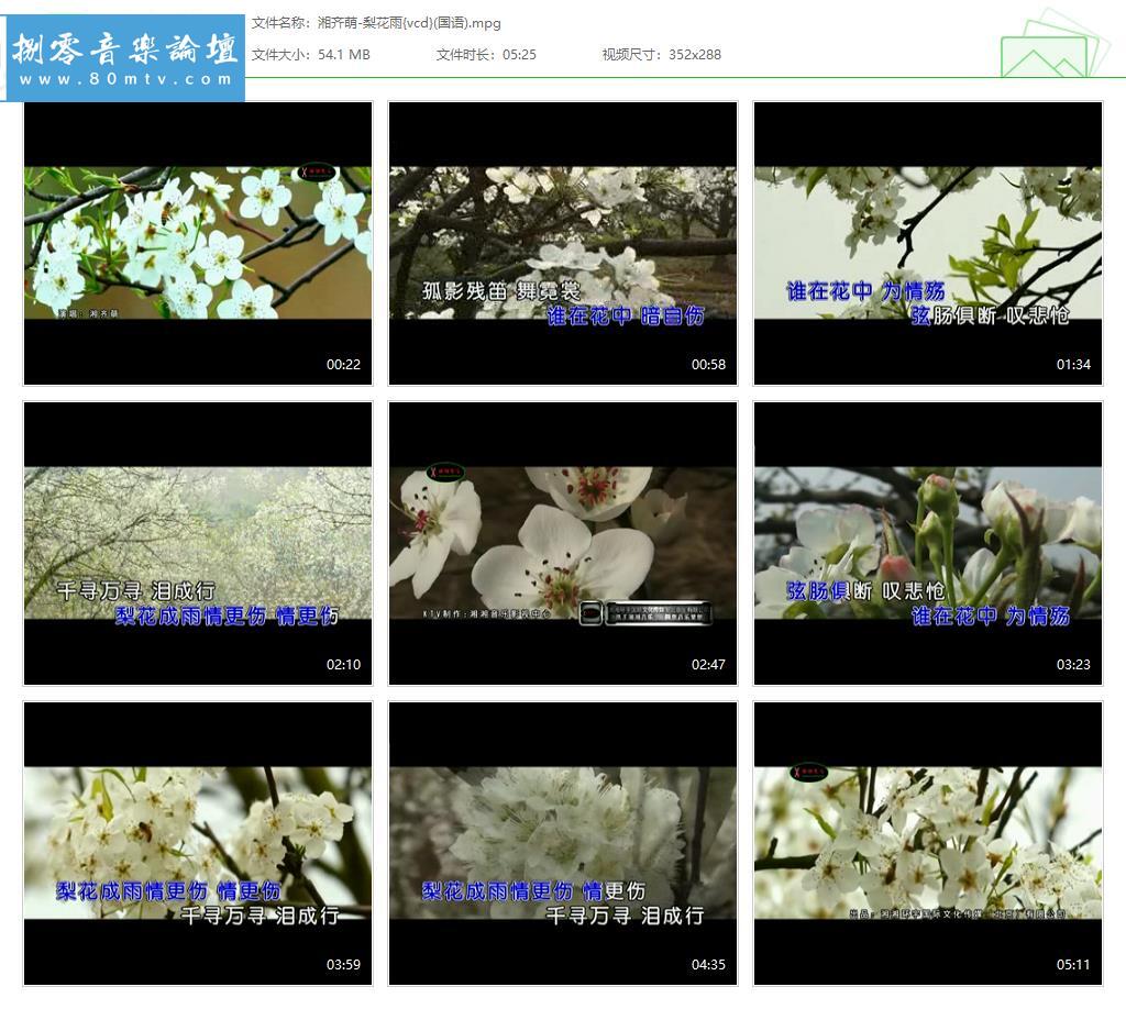 湘齐萌-梨花雨{vcd}(国语).jpg