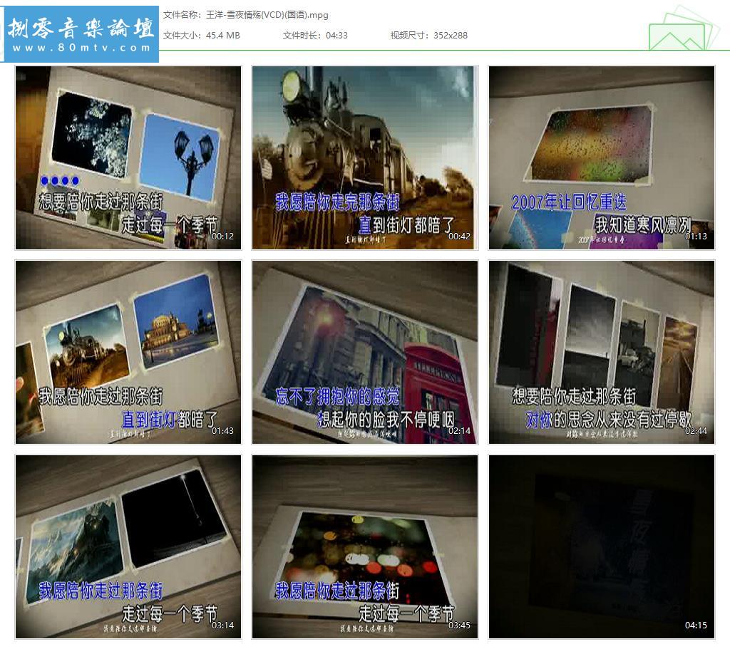 王洋-雪夜情殇{VCD}(国语).jpg