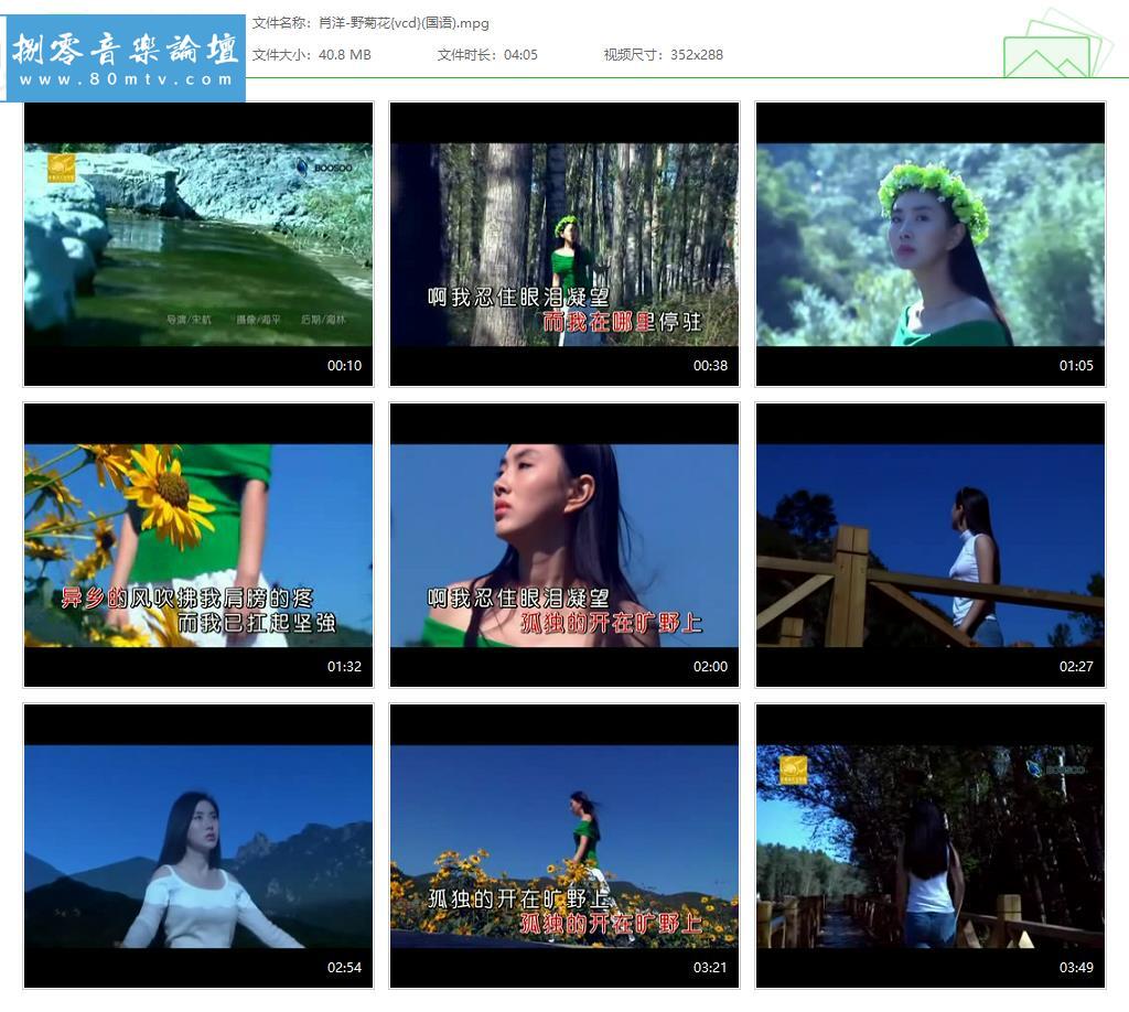 肖洋-野菊花{vcd}(国语).jpg