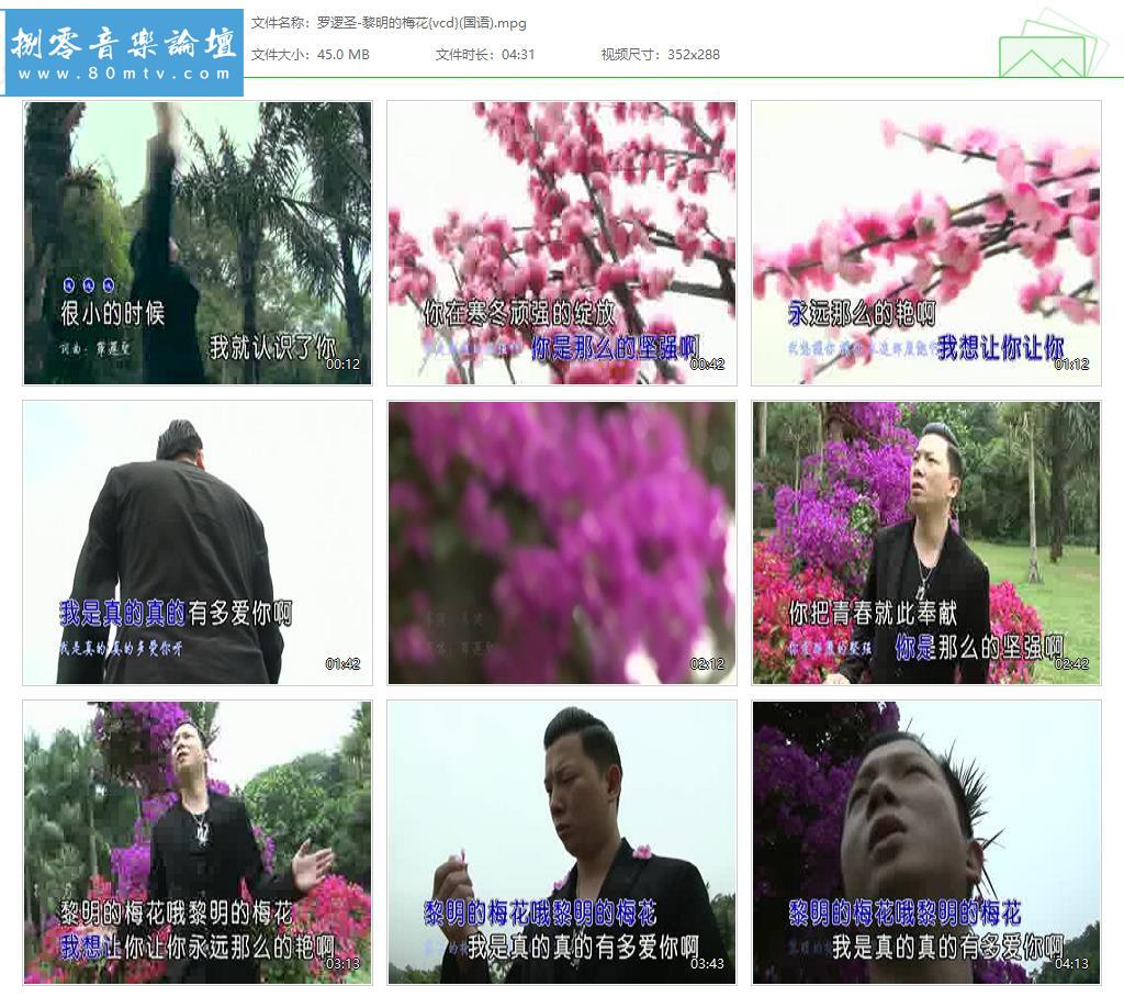 罗逻圣-黎明的梅花{vcd}(国语).jpg