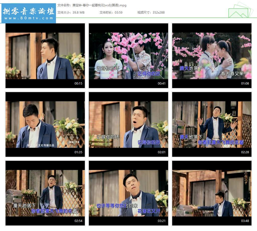 萧宝钟-等你一起看桃花{vcd}(国语).jpg