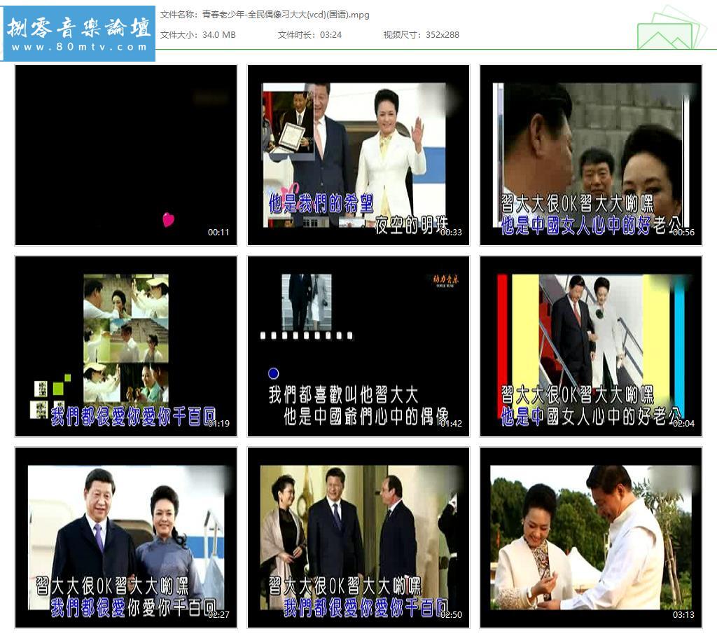 青春老少年-全民偶像习大大{vcd}(国语).jpg