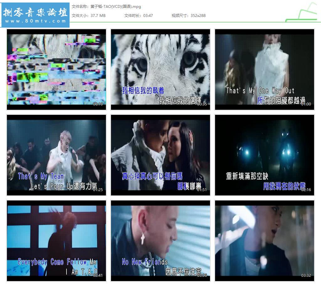 黄子韬-TAO{VCD}(国语).jpg