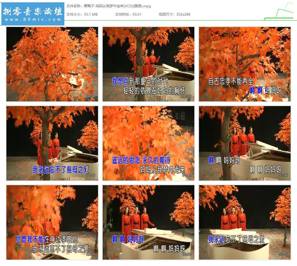 黑鸭子-妈妈从我梦中走来{VCD}(国语).jpg