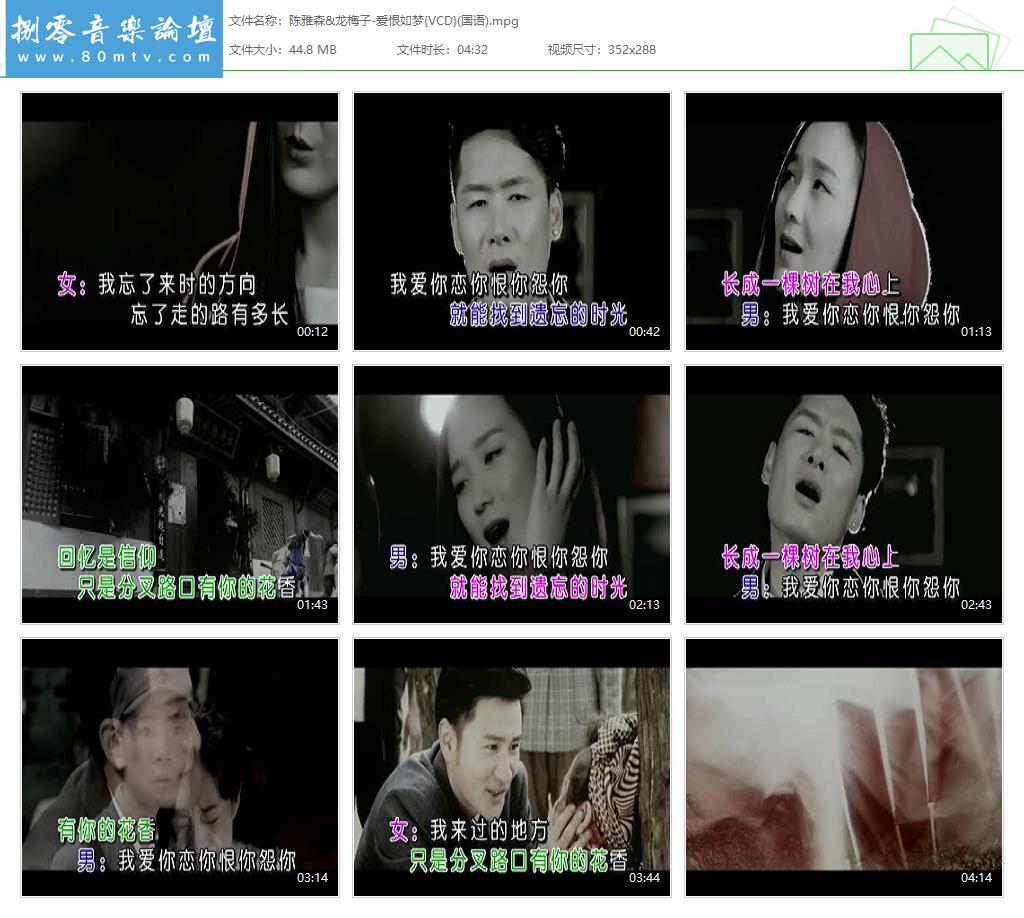 陈雅森&龙梅子-爱恨如梦{VCD}(国语).jpg