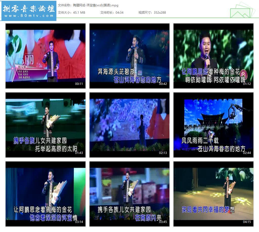 陶建阿成-洱宝情{vcd}(国语).jpg