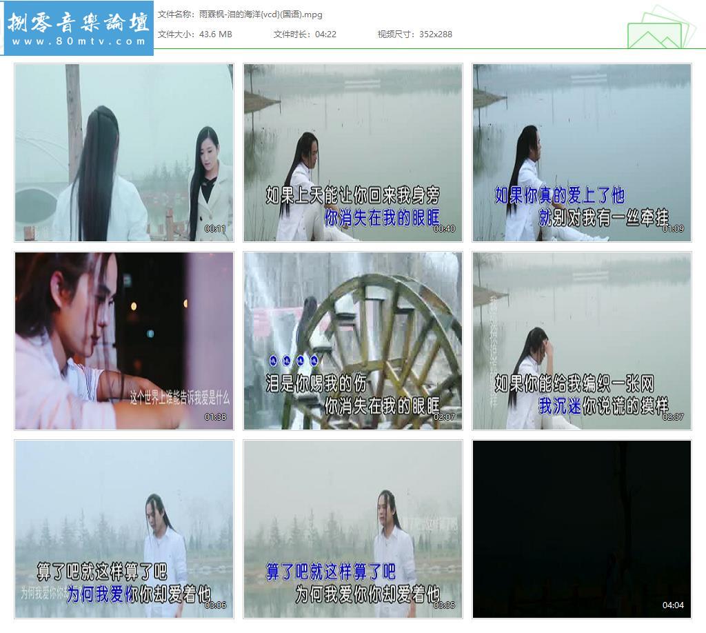 雨霖枫-泪的海洋{vcd}(国语).jpg