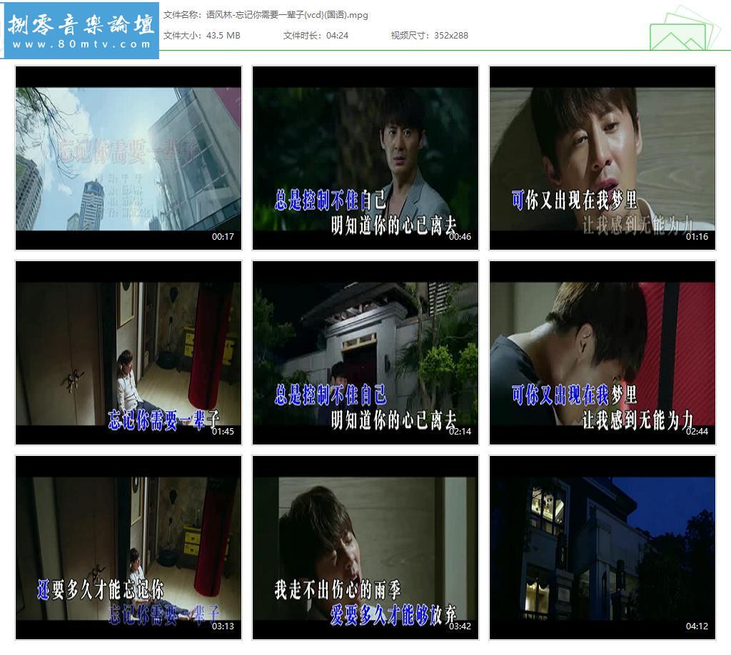 语风林-忘记你需要一辈子{vcd}(国语).jpg