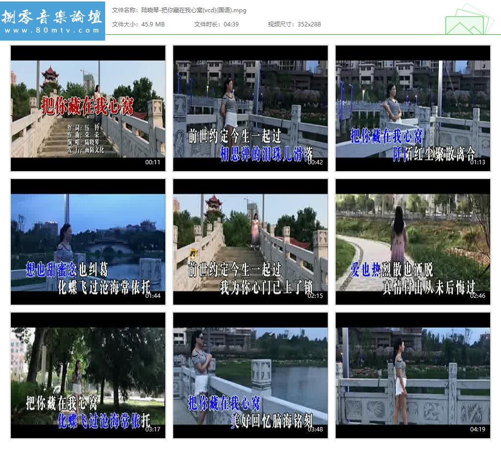 陆晓琴-把你藏在我心窝{vcd}(国语).jpg