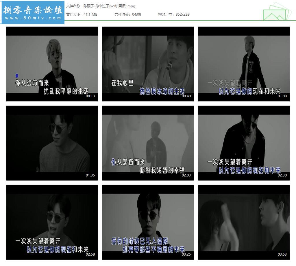 陈硕子-你来过了{vcd}(国语).jpg