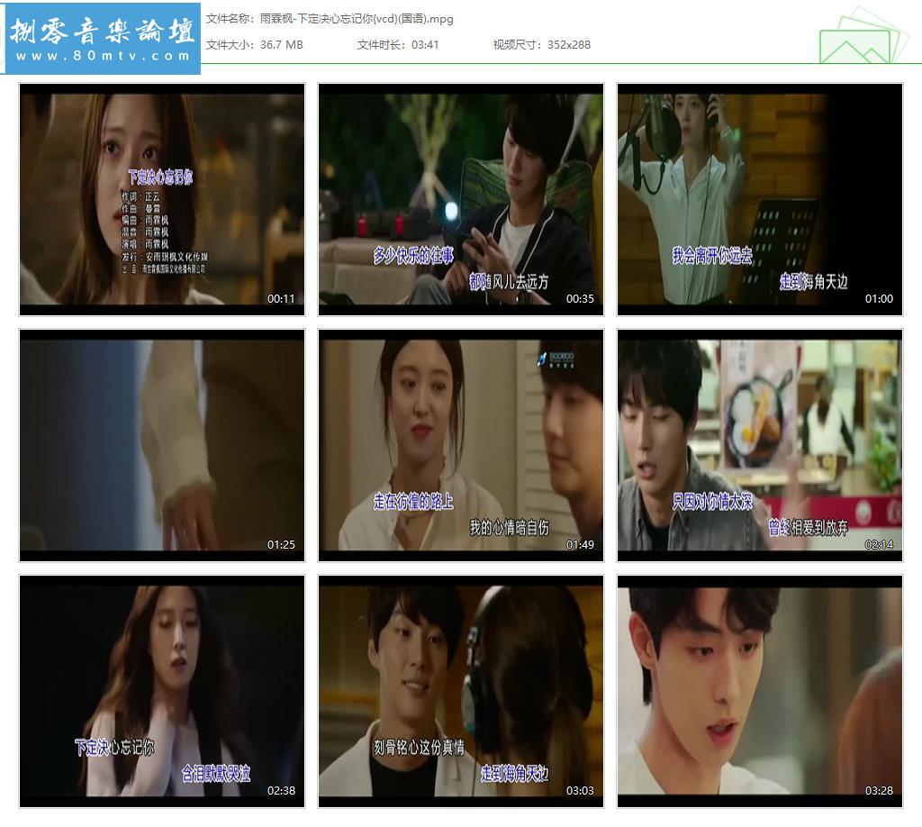 雨霖枫-下定决心忘记你{vcd}(国语).jpg