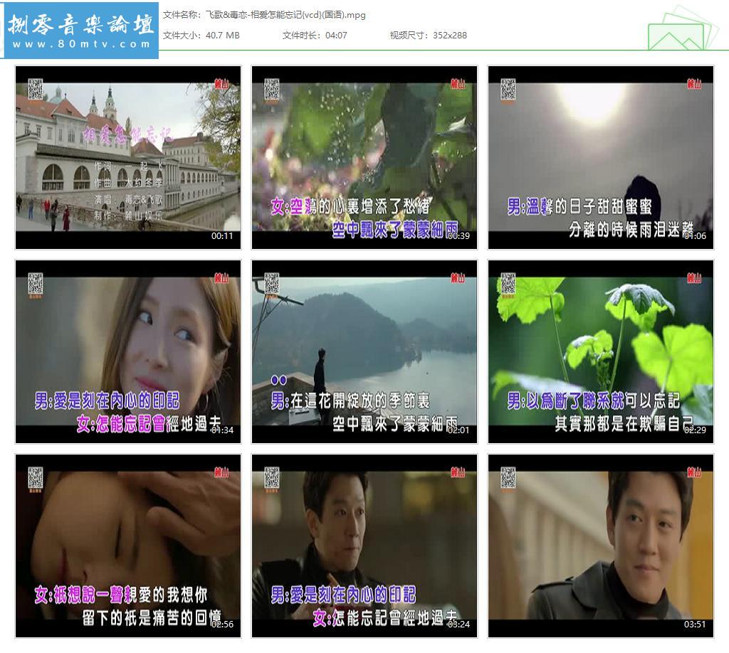 飞歌&毒恋-相爱怎能忘记{vcd}(国语).jpg