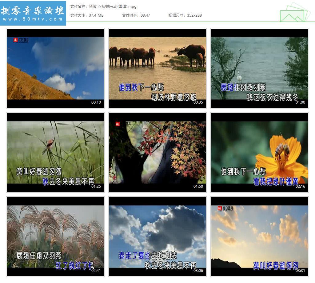 马常宝-秋蝉{vcd}(国语).jpg