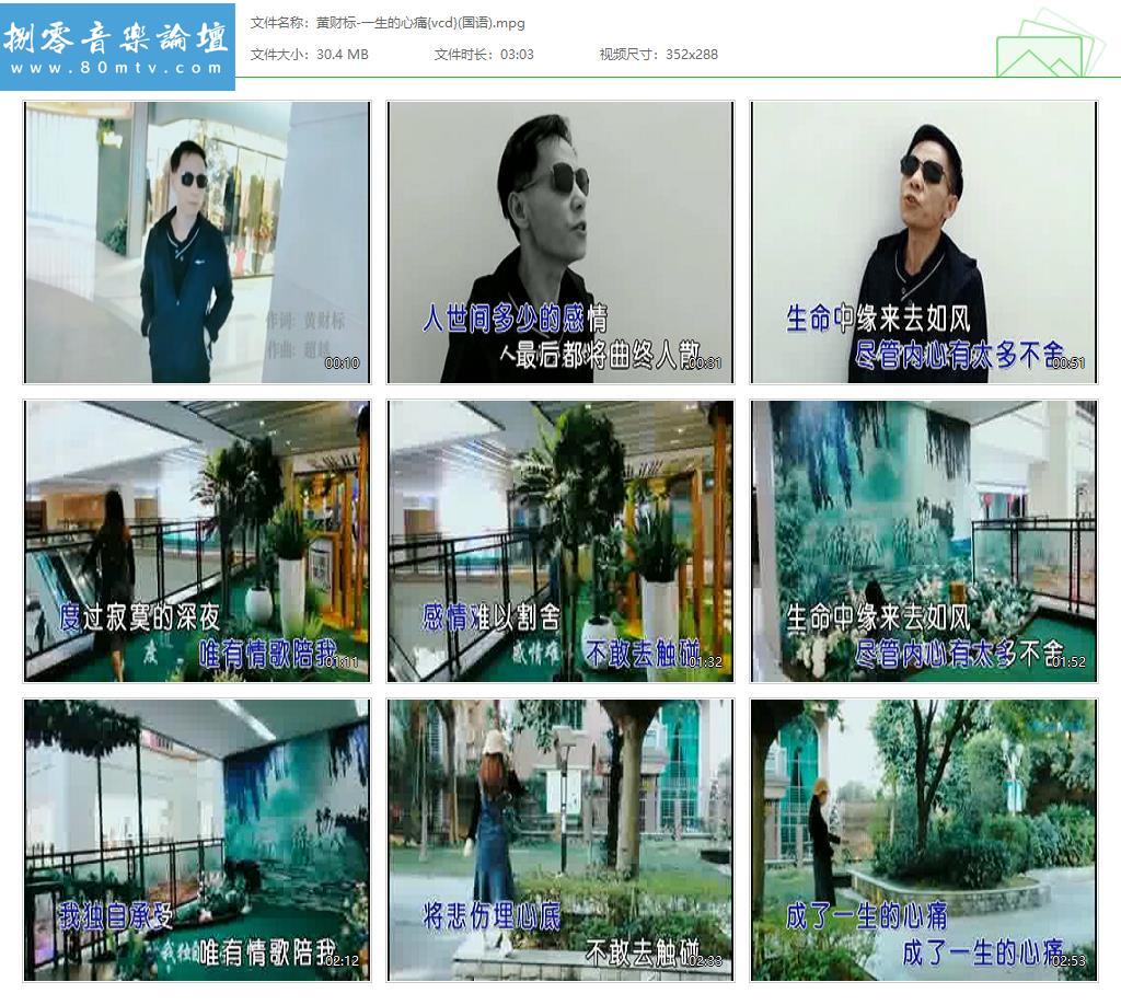 黄财标-一生的心痛{vcd}(国语).jpg