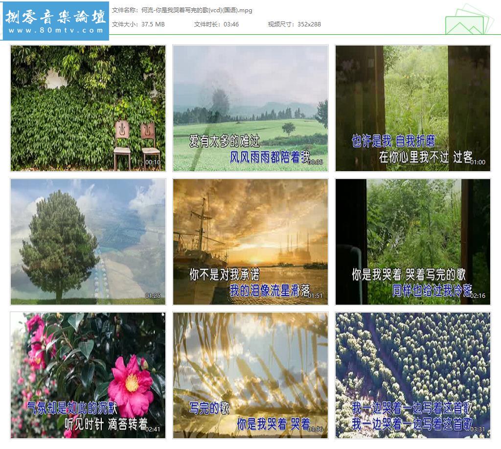 何流-你是我哭着写完的歌{vcd}(国语).jpg