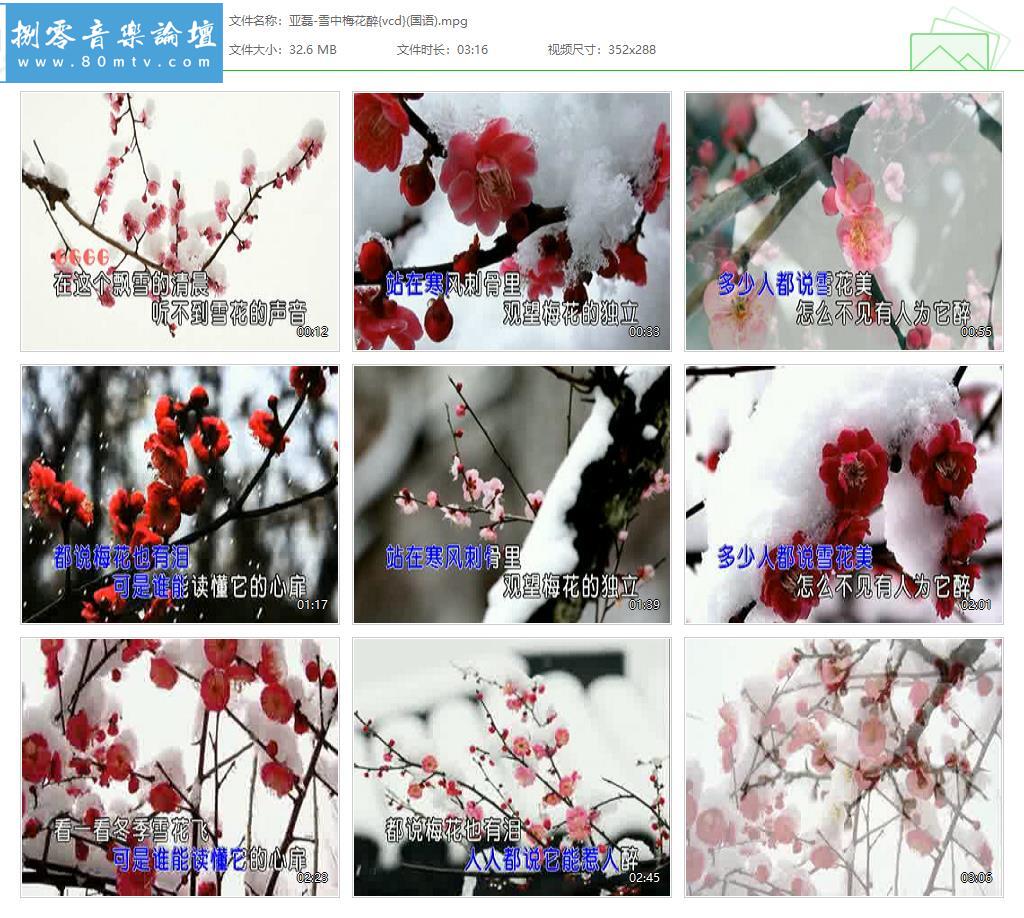 亚磊-雪中梅花醉{vcd}(国语).jpg