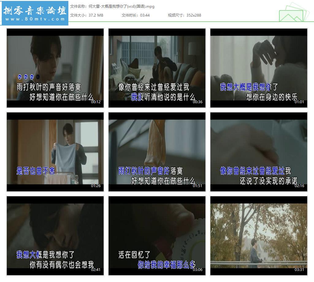 何大雷-大概是我想你了{vcd}(国语).jpg