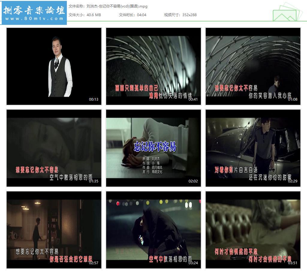 刘洪杰-忘记你不容易{vcd}(国语).jpg