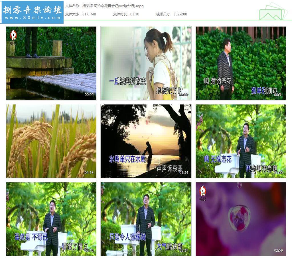 杨荣辉-可怜恋花再会吧{vcd}(台语).jpg