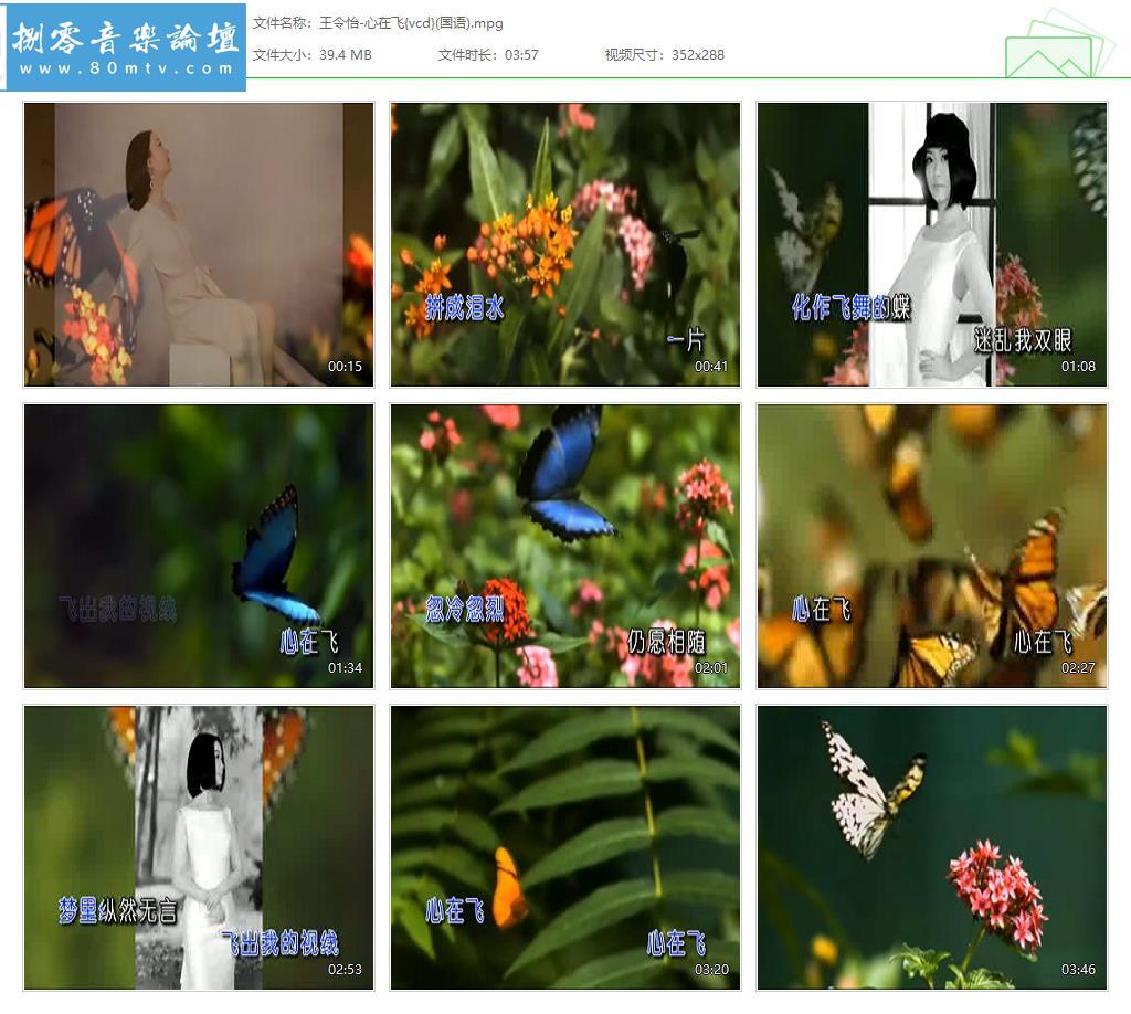 王令怡-心在飞{vcd}(国语).jpg