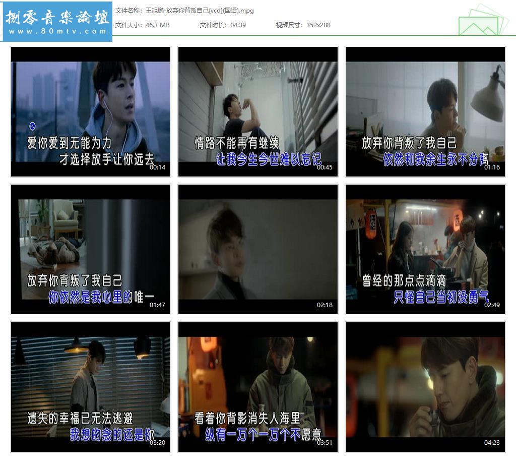 王旭鹏-放弃你背叛自己{vcd}(国语).jpg