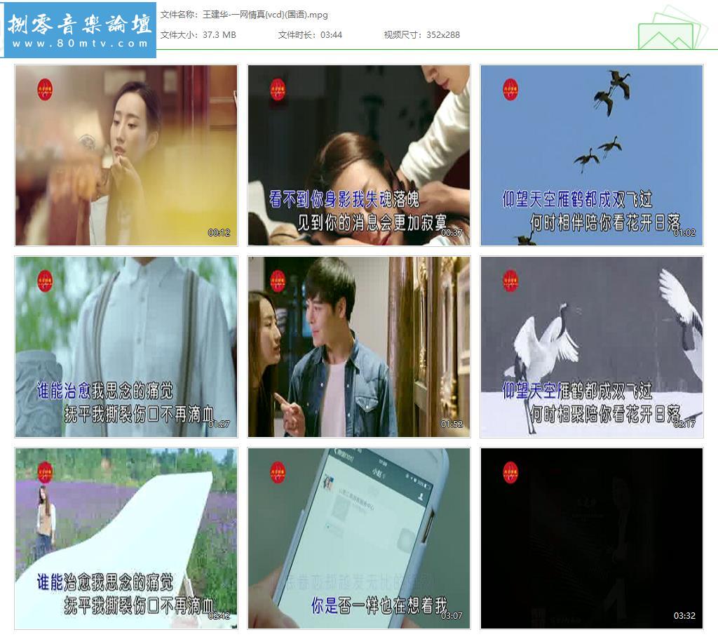 王建华-一网情真{vcd}(国语).jpg