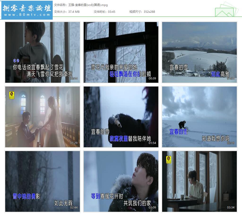 王强-宜春的雪{vcd}(国语).jpg