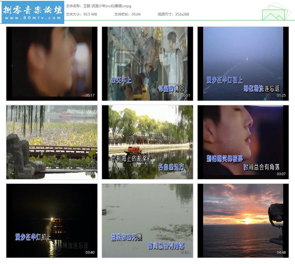 王挺-流浪少年{vcd}(国语).jpg