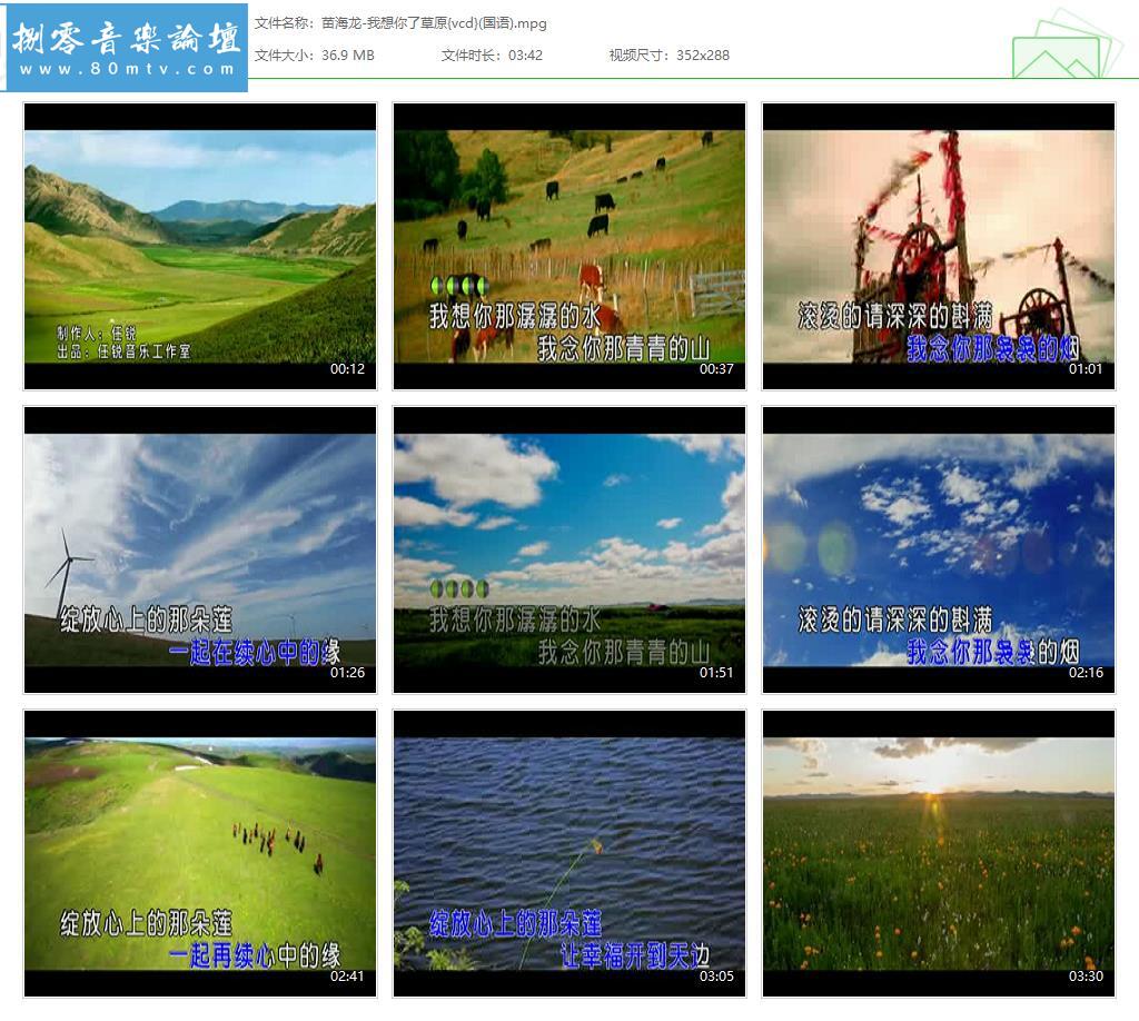 苗海龙-我想你了草原{vcd}(国语).jpg