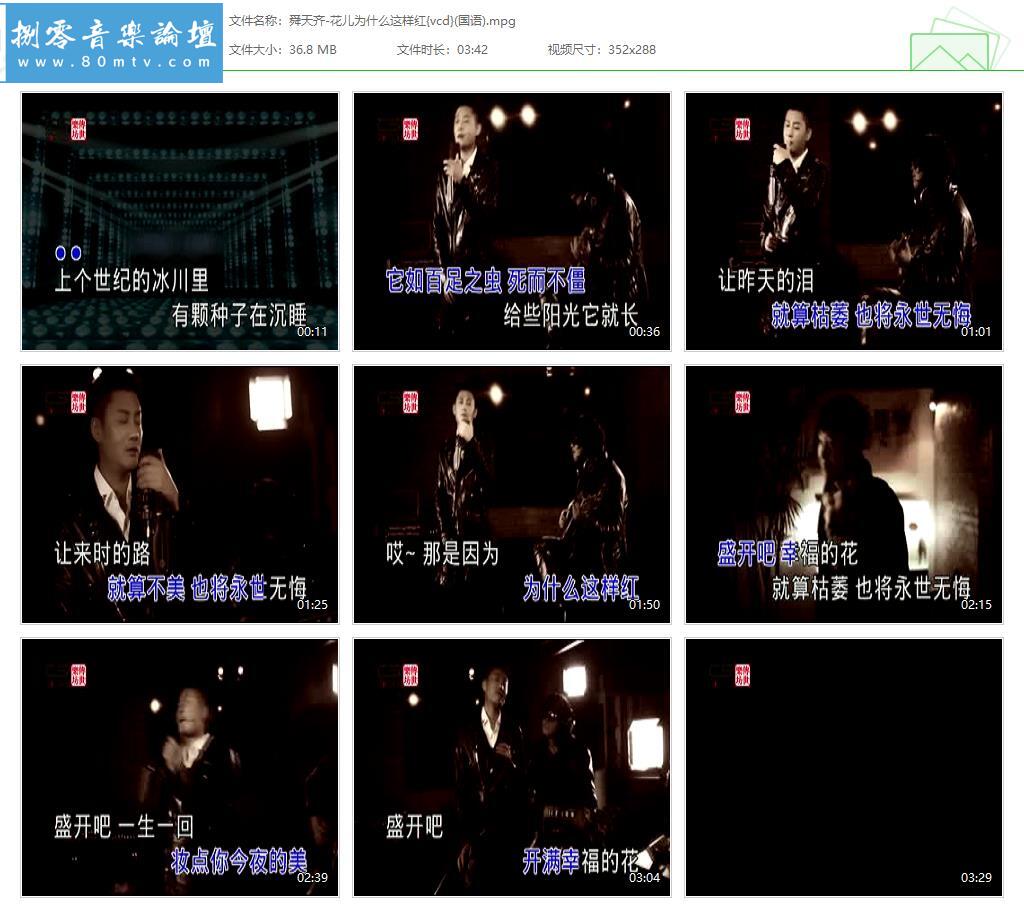 舜天齐-花儿为什么这样红{vcd}(国语).jpg
