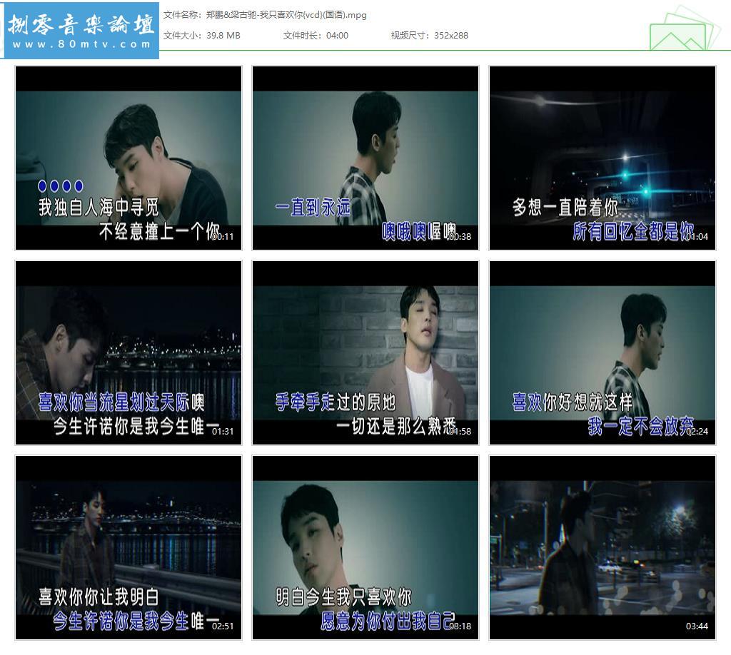 郑鹏&梁古驰-我只喜欢你{vcd}(国语).jpg