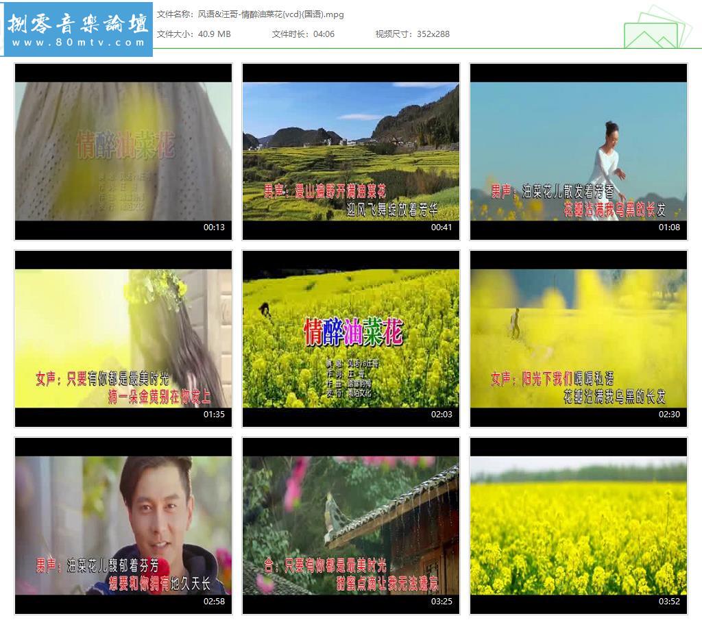 风语&汪哥-情醉油菜花{vcd}(国语).jpg