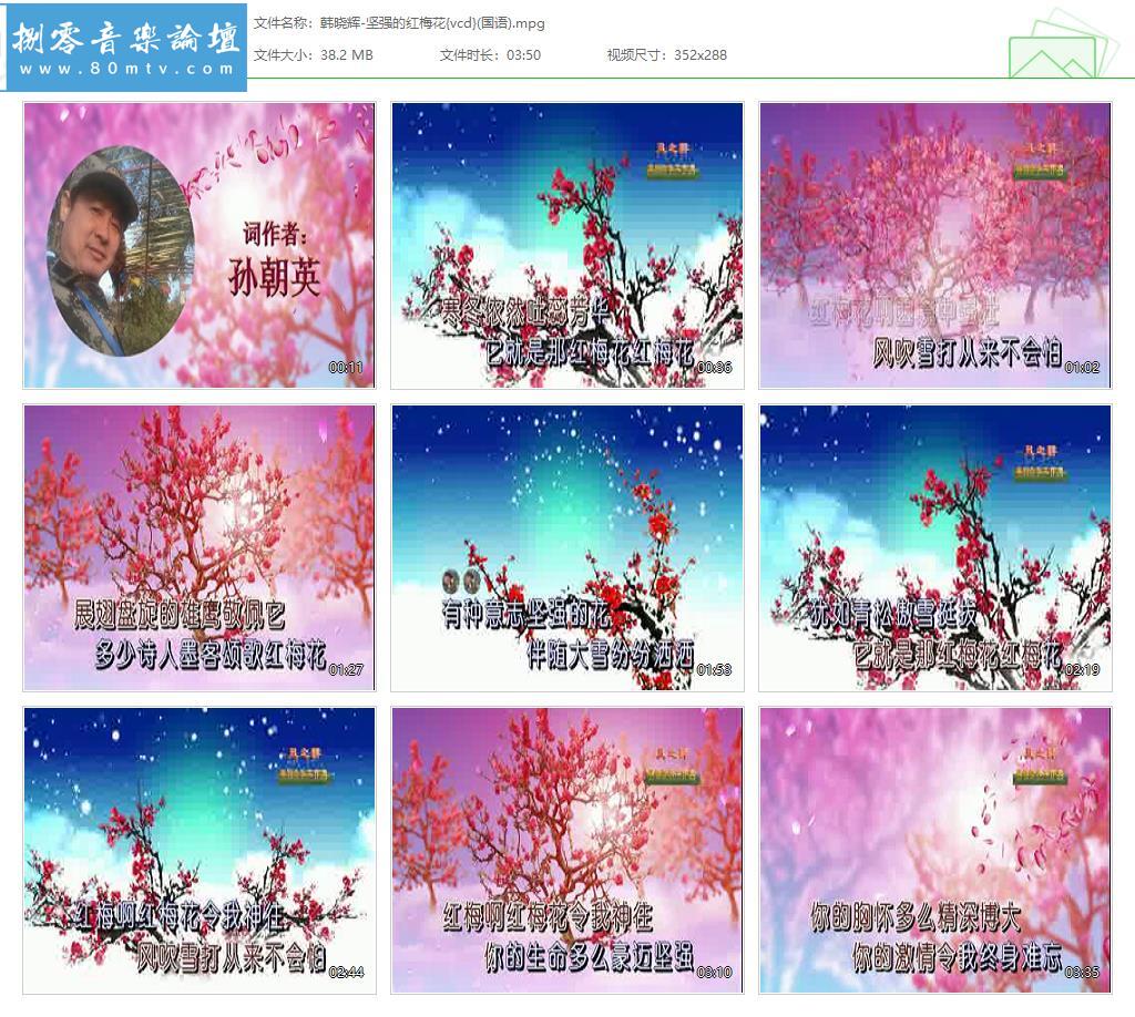 韩晓辉-坚强的红梅花{vcd}(国语).jpg