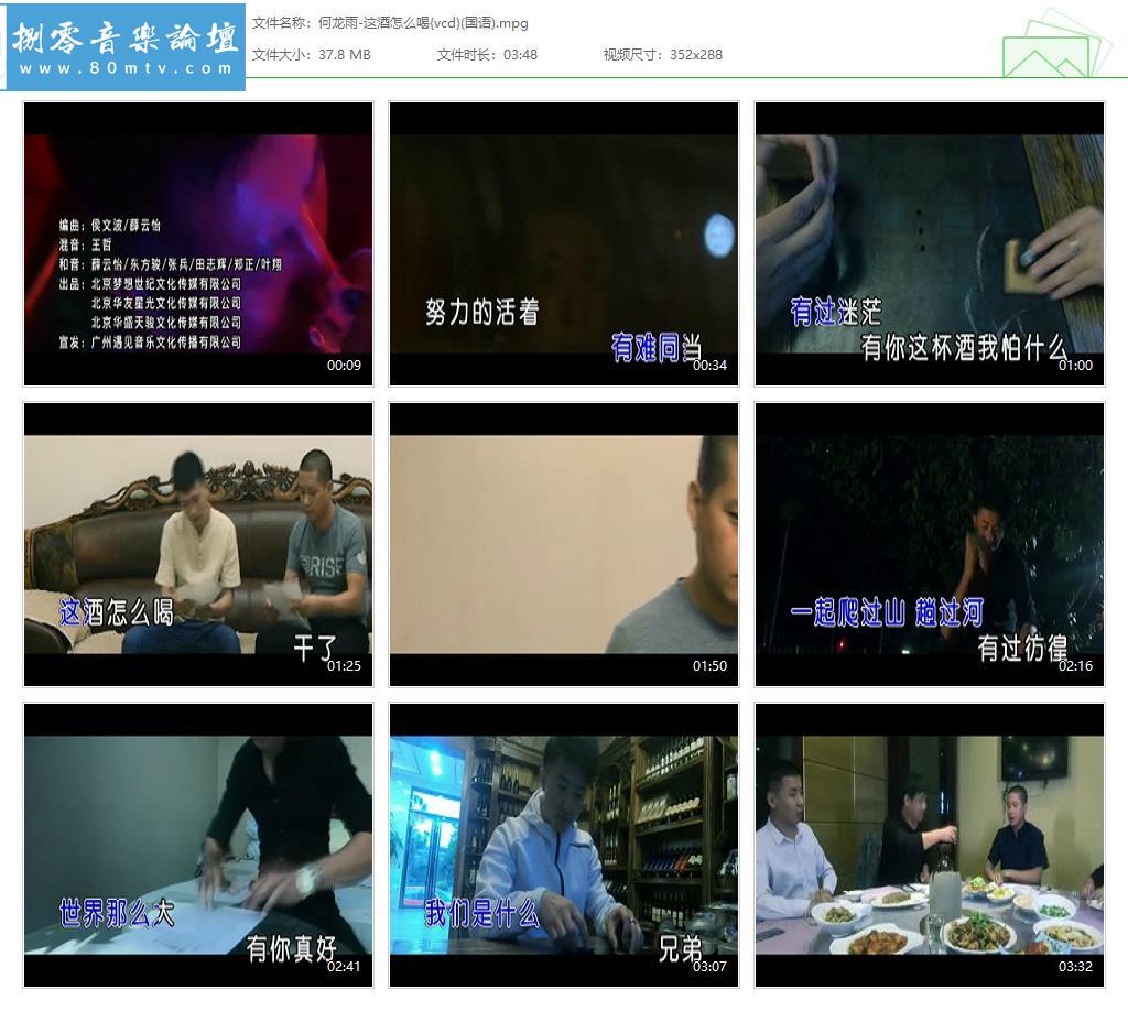 何龙雨-这酒怎么喝{vcd}(国语).jpg