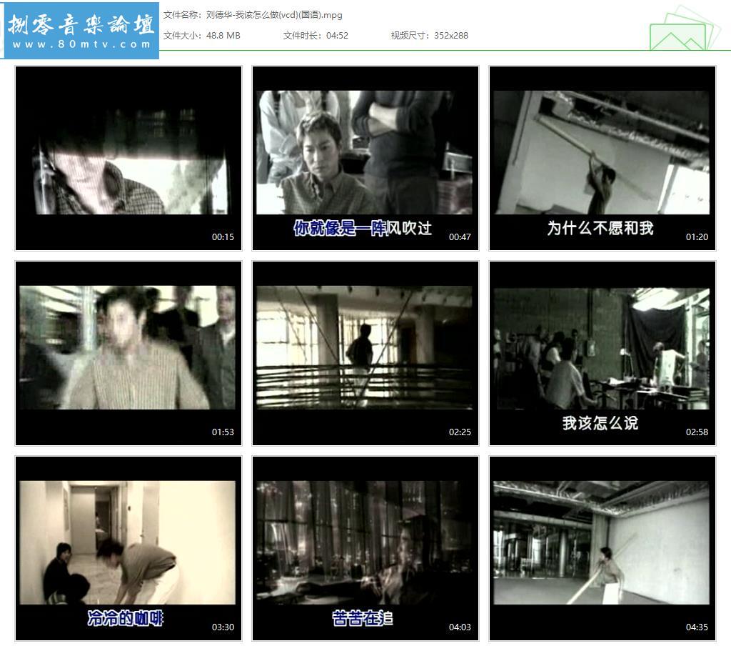 刘德华-我该怎么做{vcd}(国语).jpg