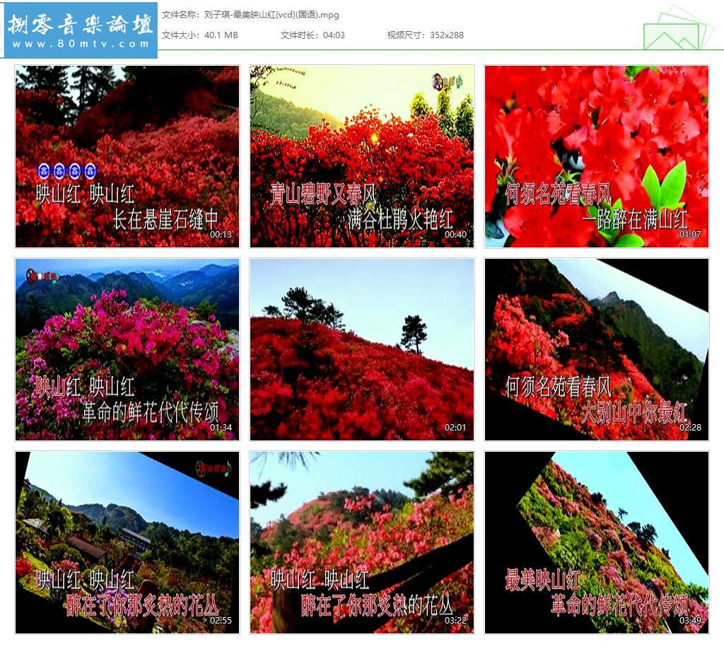 刘子琪-最美映山红{vcd}(国语).jpg