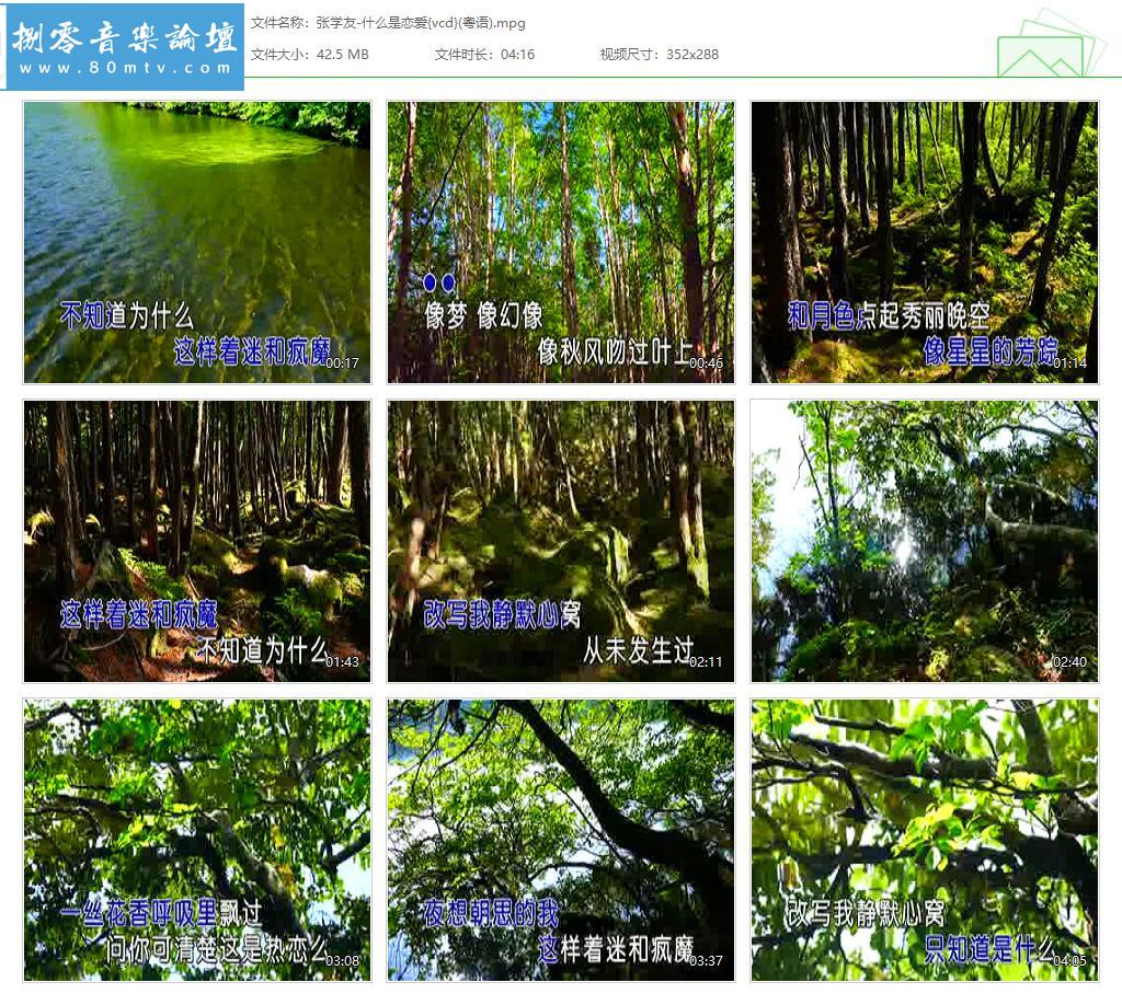 张学友-什么是恋爱{vcd}(粤语).jpg