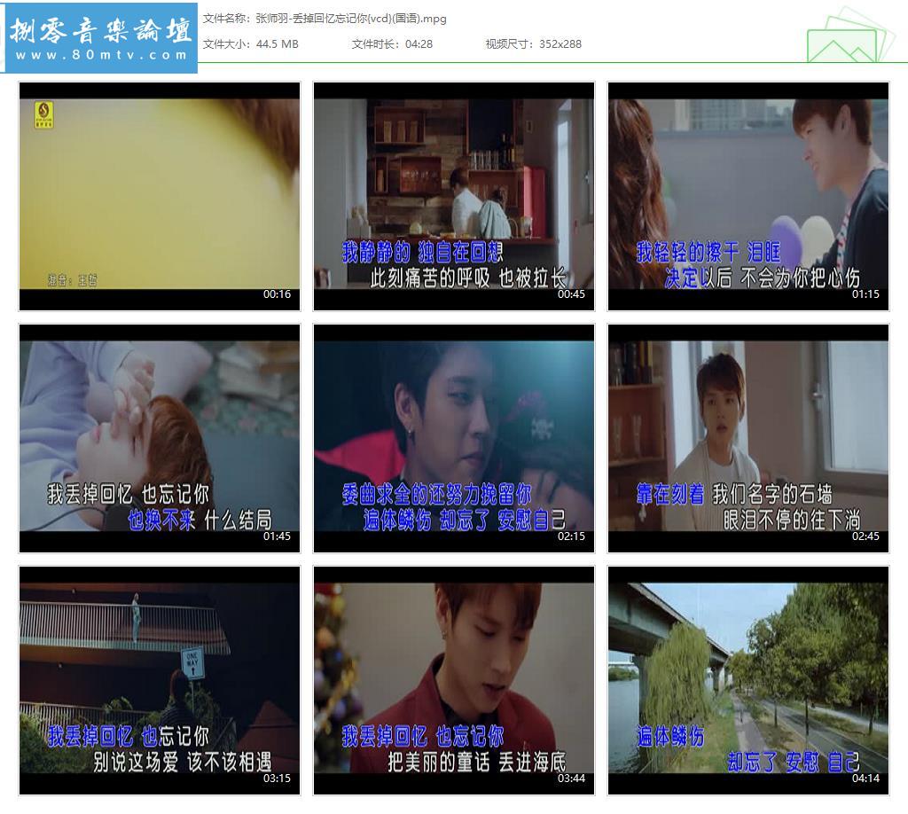 张师羽-丢掉回忆忘记你{vcd}(国语).jpg