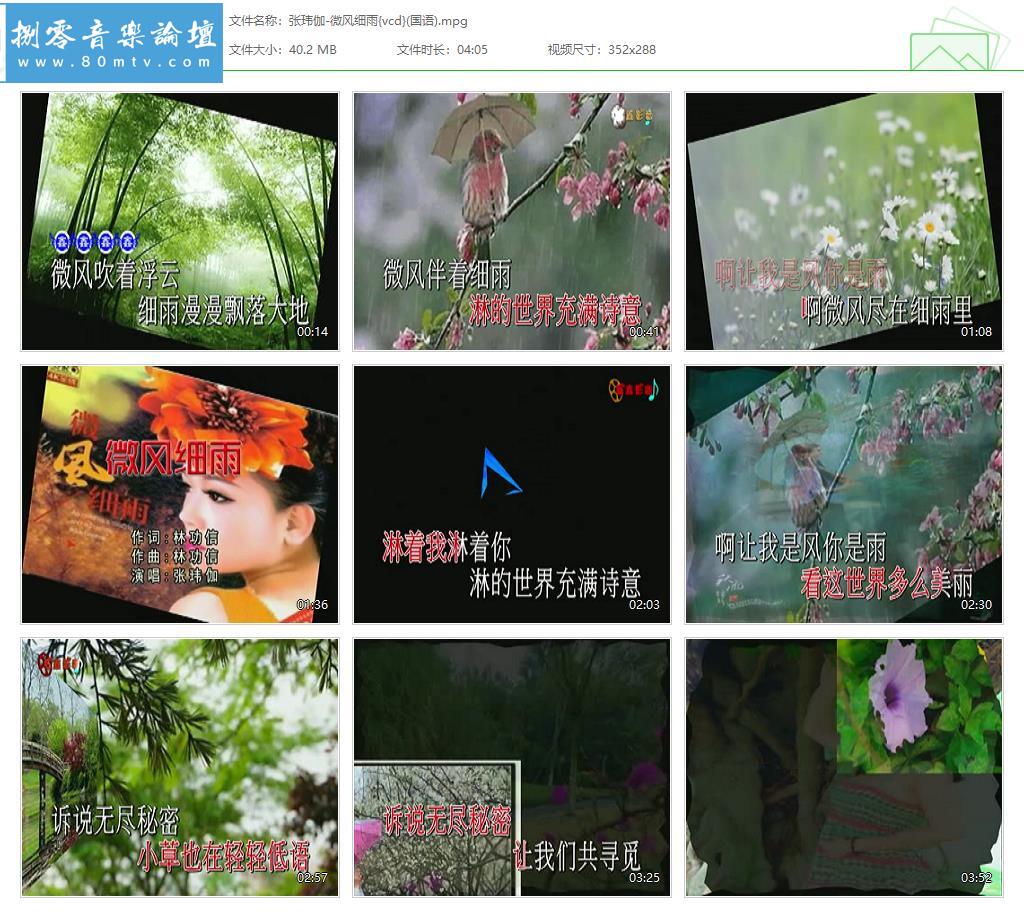 张玮伽-微风细雨{vcd}(国语).jpg