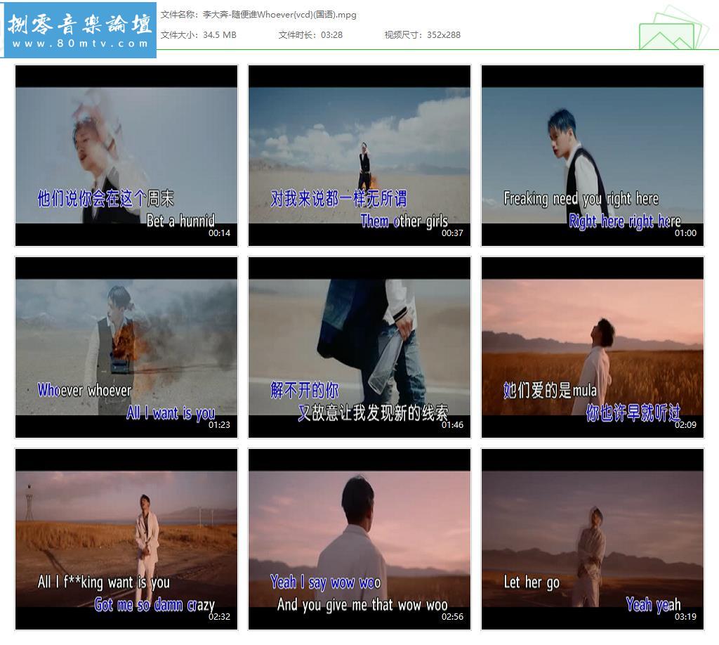 李大奔-随便谁Whoever{vcd}(国语).jpg
